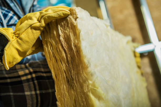 Best Fiberglass Insulation  in Clarendon Hls, IL